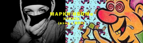 крисы Вязьма