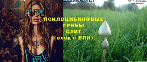 альфа пвп Горняк