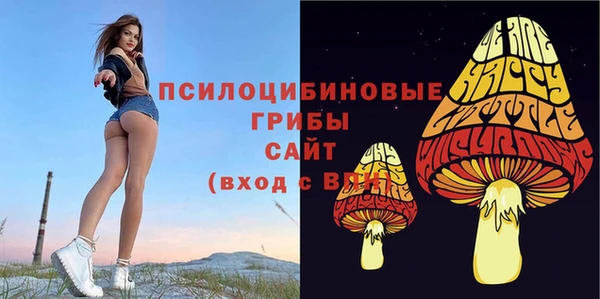 spice Горно-Алтайск