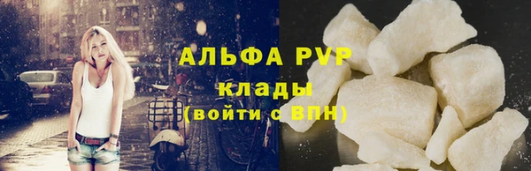 крисы Вязьма